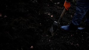 В Твери продолжаются сезонные работы по благоустройству
