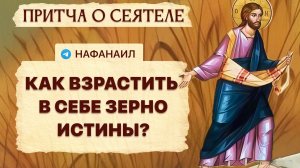 Как взрастить в себе зерно Истины?