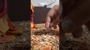 Мастер-класс от Софии. Делаем шедевры из природных материалов. 27-10-2025