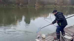 Белый стрейч