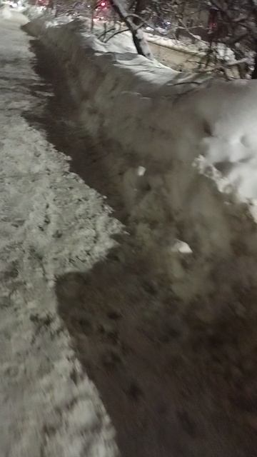 №217. ул. Газеты Звезда. 10 марта 2025 г., 21:37:24. VID_20250310_213449271