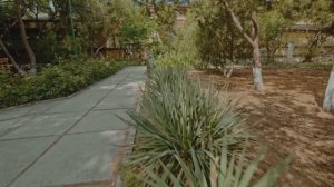 Дендропарк Евпатории