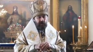 ☦️Митрополит Иларион о постоянном стремлении к приобретению большего богатства.