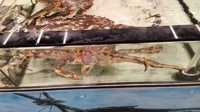 фасад. аэрография