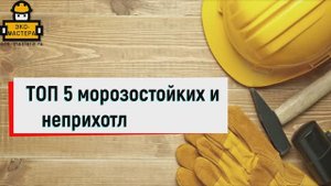 ТОП 5 морозостойких и неприхотливых роз