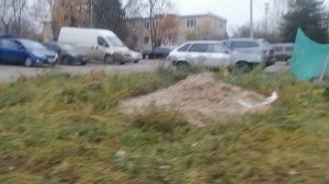 27.10.2025.16:30 Усадьба Парк Кино Ляхово. Парк Сибирских Кошек.Визитная карточка. Домодедово.Москов