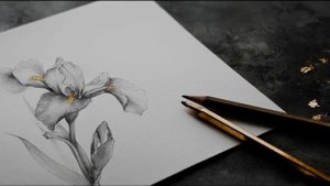 Ирина Самарина-Лабиринт Любовь неземная... (folk_indie)