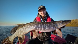 ГОЛОДНЫЕ ЩУКИ КИДАЮТСЯ на МЫШЬ / ЭТО НАСТОЯЩИЙ ЖОР / РЫБАЛКА на СПИННИНГ ОСЕНЬЮ