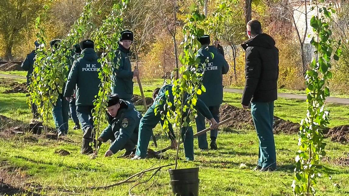 На улице Заводской высадили тополя смотреть онлайн