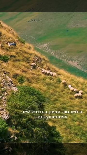 вдали от города смотреть онлайн