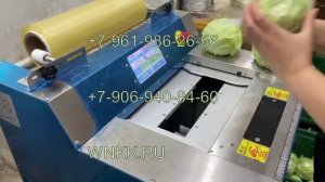 Полуавтоматическая упаковочная машина в пищевую пленку W-01