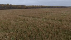 Небольшой выезд в поле на питбайке