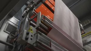 Упаковка корма для животных - Упаковочное оборудование - Бестром-600.1