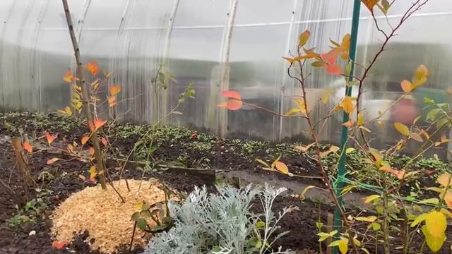 Обзор выходного дня 25-26 октября