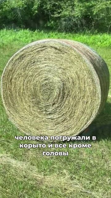 Средство от ревматизма смотреть онлайн