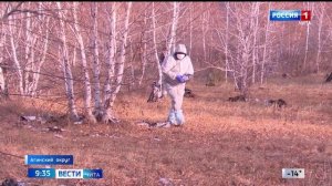 27 октября «Вести-Чита» в 09:30