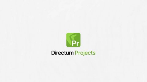 Directum Project. Российская платформа, которая заменяет собой MS Project, Jira, Trello и Confluence