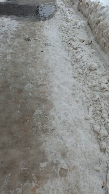 №237. ул. Газеты Звезда. 13 марта 2025 г., 10:15:22. VID_20250313_101222165