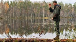 Рыбалка в Тайге. Поездка на Ведьмино Озеро. Окуни гнут удочки.