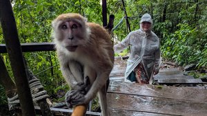 Отпуск на Краби. Таиланд. Сентябрь 2025