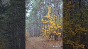 октябрь на Караби