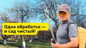 Осенняя обработка сада Дёшево и очень эффективно