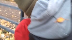 Гномики против Шрека часть 4 последяя