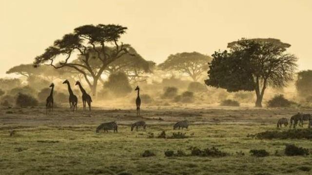 В поисках новых земель