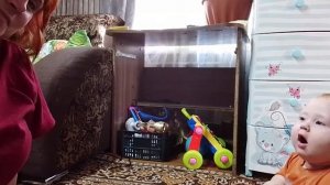 маленький соловей-разбойник