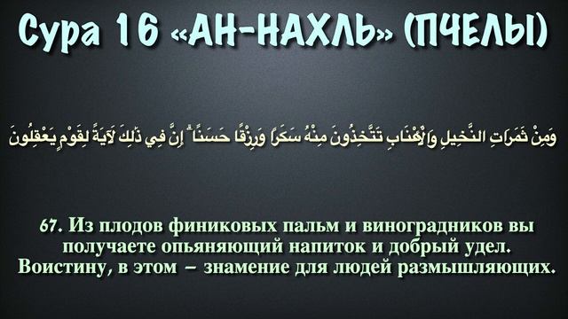 16.Сура «Ан-Нахль» («Пчёлы») — 128 аятов.