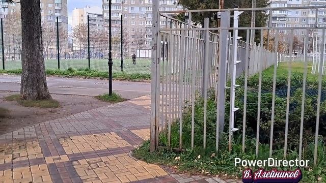 25 мин. по парку