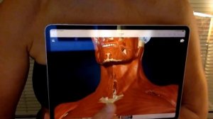 Основная остеопатическая техника