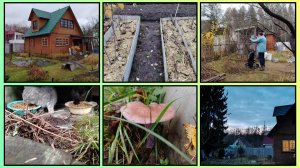 НА ДАЧЕ РАБОТЫ МАЛО НЕ БЫВАЕТ 51/2025