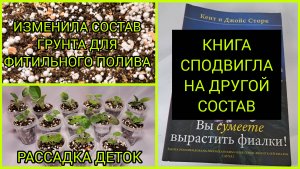 Грунт для фитильного полива. Книга сподвигла на новый состав. Рассадка деток фиалок.