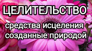 Средства исцеления созданные природой! #серафимсаровский