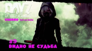 #9 ВИДНО НЕ СУДЬБА-ВЫЖИВАНИЕ С НУЛЯ. СЕРВЕР №4 Чернорусь Mr.Smile #НЕУДЕРЖИМЫЕ #Dayz #games