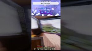 майн выживание