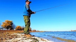 Попал на бешенный клев этого хищника Рыбалка в Астрахани осенью