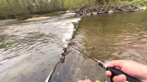 Рыбалка на Сахалине!  В поисках вишневого лосося