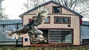 Прочистил дымоход, к отопительному сезону готов)