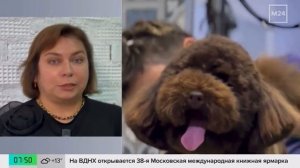 телеканал Москва24