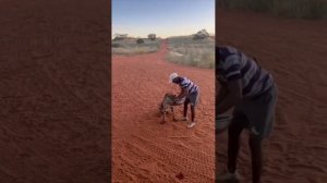 Любовь похожая на сон(Кавер)
V16 Lavoz S