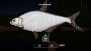 Русская Рыбалка 4 Трофей (Белоглазка) р. Вьюнок