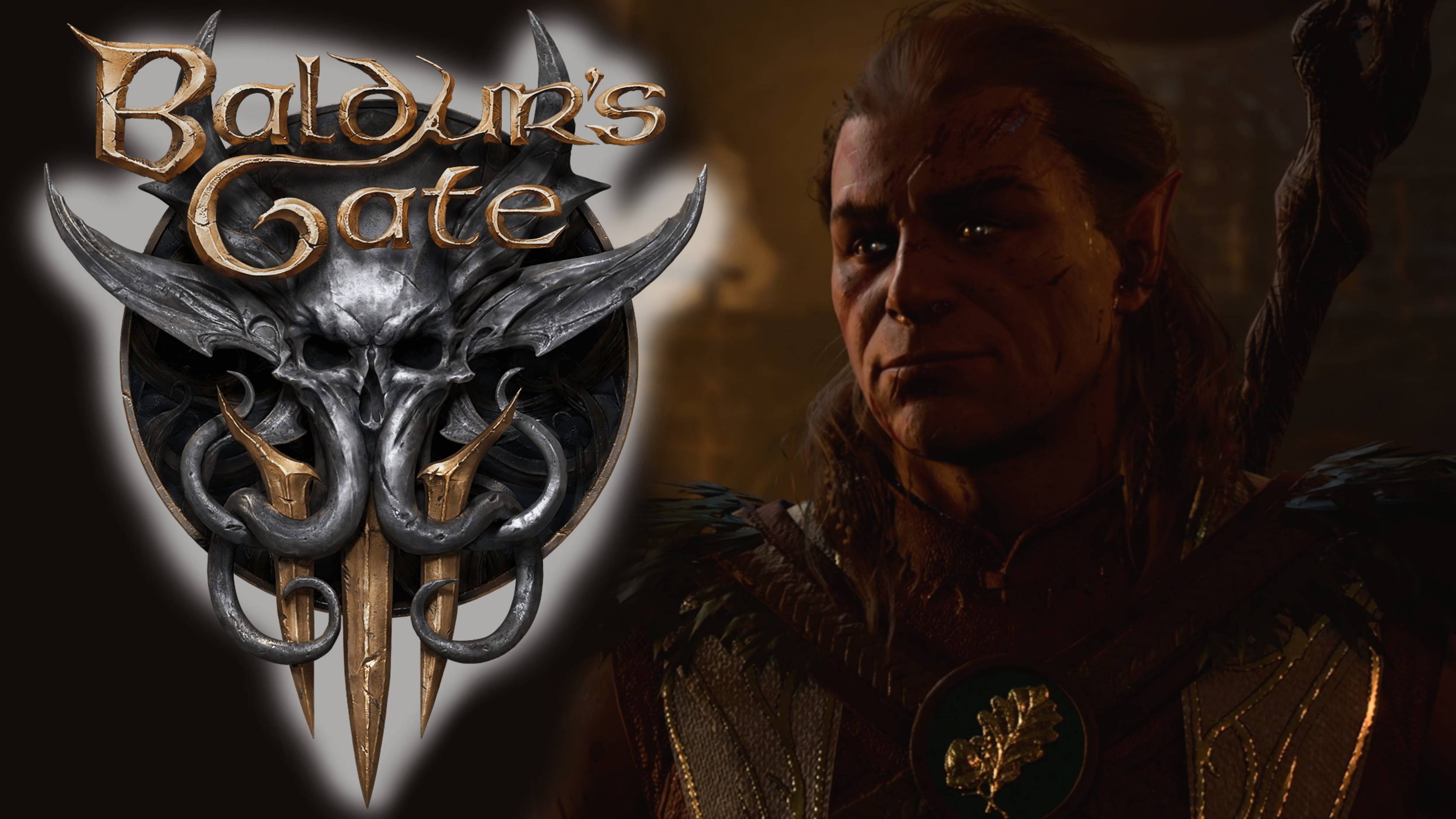 BALDUR'S GATE 3 #12 - Спасение Хальсина и Воло