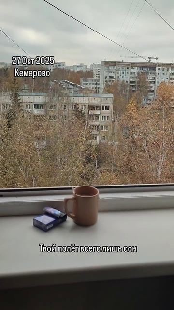 2025-10-27 смотреть онлайн