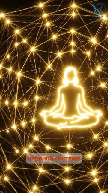 Цитата о силе сообщества.