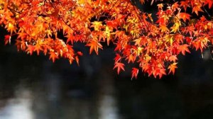 СРОЧНО. 27 Октября  узнайте свое важное послание.