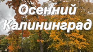 Осеннее танго