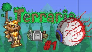 Не в первый раз в Террарии (но не очень похоже) #1 •Terraria