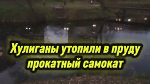 Хулиганы утопили в пруду прокатный самокат